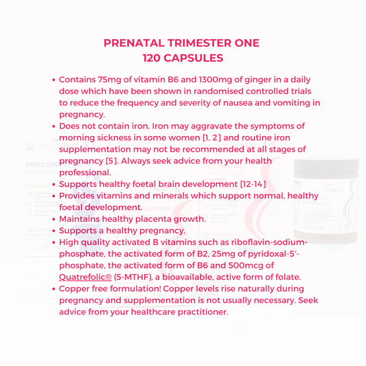 Preconception to Pregnancy Bundle | Save 20%!